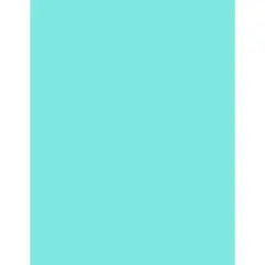 PA Paper&trade; Accents 8.5" x 11" 65lb. Smooth Cardstock, 1000 Sheets Mediterranean