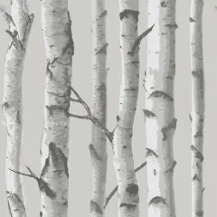 InHome Birch Forest Gray Peel & Stick Wallpaper