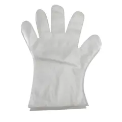 Baumgartens Disposable Gloves, 6 Packs of 100