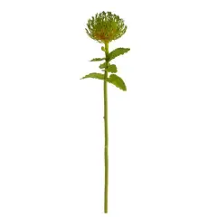 Pincushion Artificial Flower Stem, 6ct. Light Green