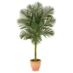 5ft. Golden Cane Palm Tree in Terra-Cotta Planter 