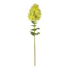 Green Peegee Hydrangea Flower Stem, 2ct.
