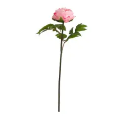 20" Pink Peony Flower Stems, 3ct.