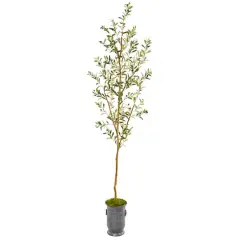 7.5ft. Olive Tree in Decorative Planter