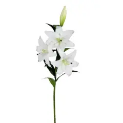 White Lily Spray, 2ct.