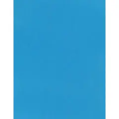 PA Paper&trade; Accents 8.5" x 11" 74lb. Cardstock, 25 Sheets Bluebird