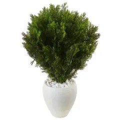 3ft. Cedar in Oval Textured Planter