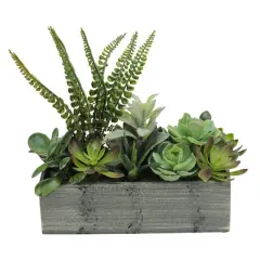 11.75" Mixed Succulent Plants in Rectangular Planter