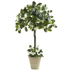 3ft. White Stephanotis Topiary In Planter