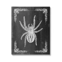 Stupell Industries Black & White Spider Canvas Wall Art