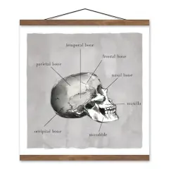 Skull Parts 16" x 16" Teak Hanging Canvas
