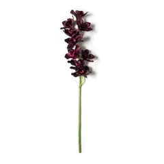 Tropical Cymbidium Spray by Ashland&reg;