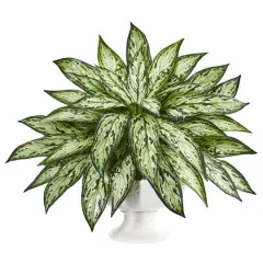 18" Silver Queen in White Pedestal