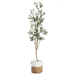 7ft. Olive Tree with Natural Trunk in Handmade Jute Basket