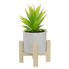 8.25" Potted Green Agave Plant with Wooden Stand