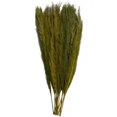 35" Natural Dried Palm Leaf Bundle with Feather-Inspired Stems Green