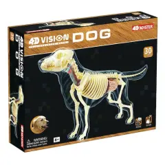 4D Vision&trade; Dog Full Skeleton Model