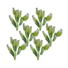 9.5" Green Poppy Pod Foliage Bundles, 6ct.