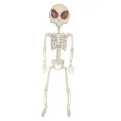 24" Alien Skeleton by Ashland&reg;