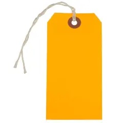 JAM Paper Medium Gift Tags with String Neon Orange