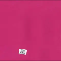 Bazzill&reg; Smoothies 12" x 12" Cardstock, 25 Sheets Watermelon Sensation