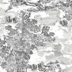 Surface Style Serene Scenes Toile Peel & Stick Wallpaper Charcoal
