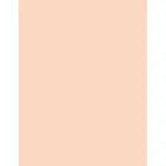 PA Paper&reg; 8.5" x 11" 65lb. Smooth Cardstock, 1,000 Sheets Flesh