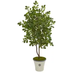 4.5ft. Oak Tree in Decorative Planter