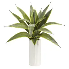 16" Snake Plant in White Planter
