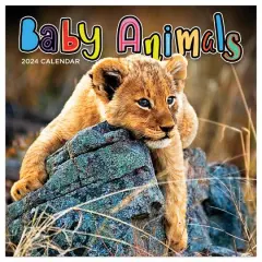 TF Publishing 2024 Baby Animals Mini Calendar