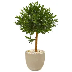 3.5ft. Olive Topiary Tree in Sand Stone Planter