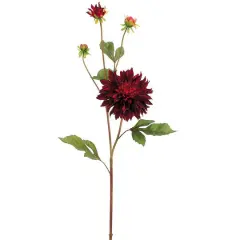 Burgundy Garden Dahlia Spray