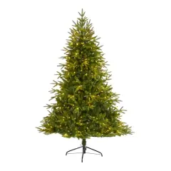 6ft. Pre-Lit Colorado Mountain Fir Artificial Christmas Tree, Clear LED Lights