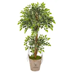 4.5ft. Variegated Ficus Tree in Farmhouse Planter