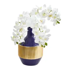 13" Moth Orchid Arrangement in Blue & Gold Vase White