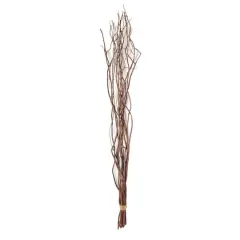 Natural Tall Curly Willow by Ashland&reg;