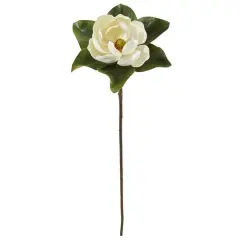 White Magnolia Flower Stems, 3ct.