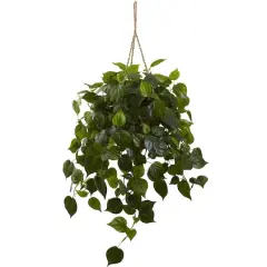 3ft. Philo Plant Hanging Basket