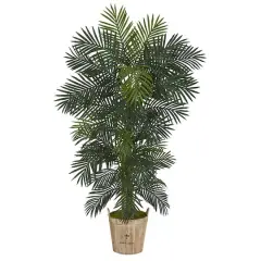 6ft. Golden Cane Palm Tree in Wooden Planter
