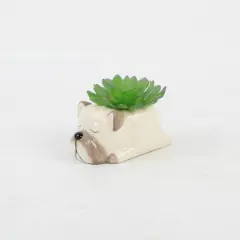 Flora Bunda&reg; 5.5" Green Succulent in Ceramic Pug Planter