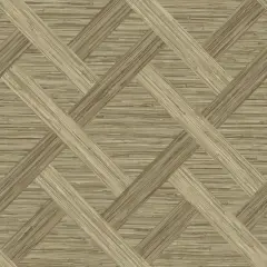 Surface Style Java Weave Peel & Stick Wallpaper Latte