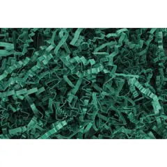 Essentials by Leisure Arts Crinkle Shred Box, 10lb. Forest Green