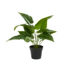 Green Plastic Traditional Artificial Foliage, 17" x 21" x 17"