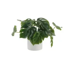 Flora Bunda&reg; 13" Trailing Split Leaf Philodendron in White Ceramic Pot