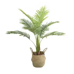 Flora Bunda&reg; 3ft. Big Palm in Basket Planter