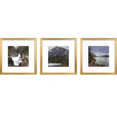 3 Pack Gallery&trade; Gold Frame with Mat by Studio D&eacute;cor&reg;