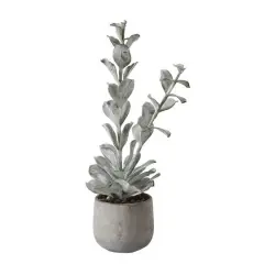 Hello Honey&reg; 24" Succulent in Cement Pot