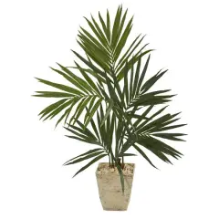 4ft. Kentia Palm Tree in Country White Planter