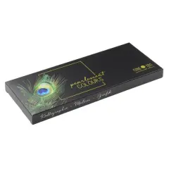 Finetec Pearlescent Rainbow Watercolor 12 Color Tin Set