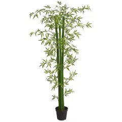 8ft. Potted Bamboo Tree